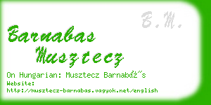 barnabas musztecz business card